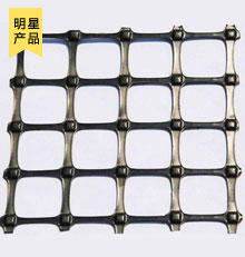 雙向塑料土工格柵